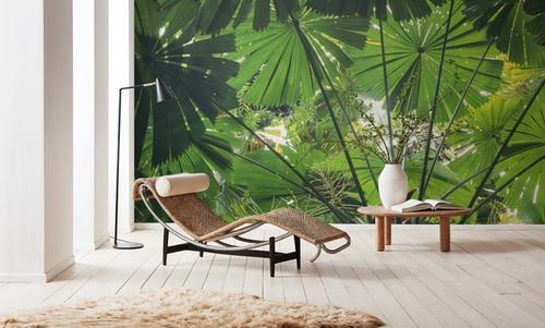 Tropical Fan Fronds