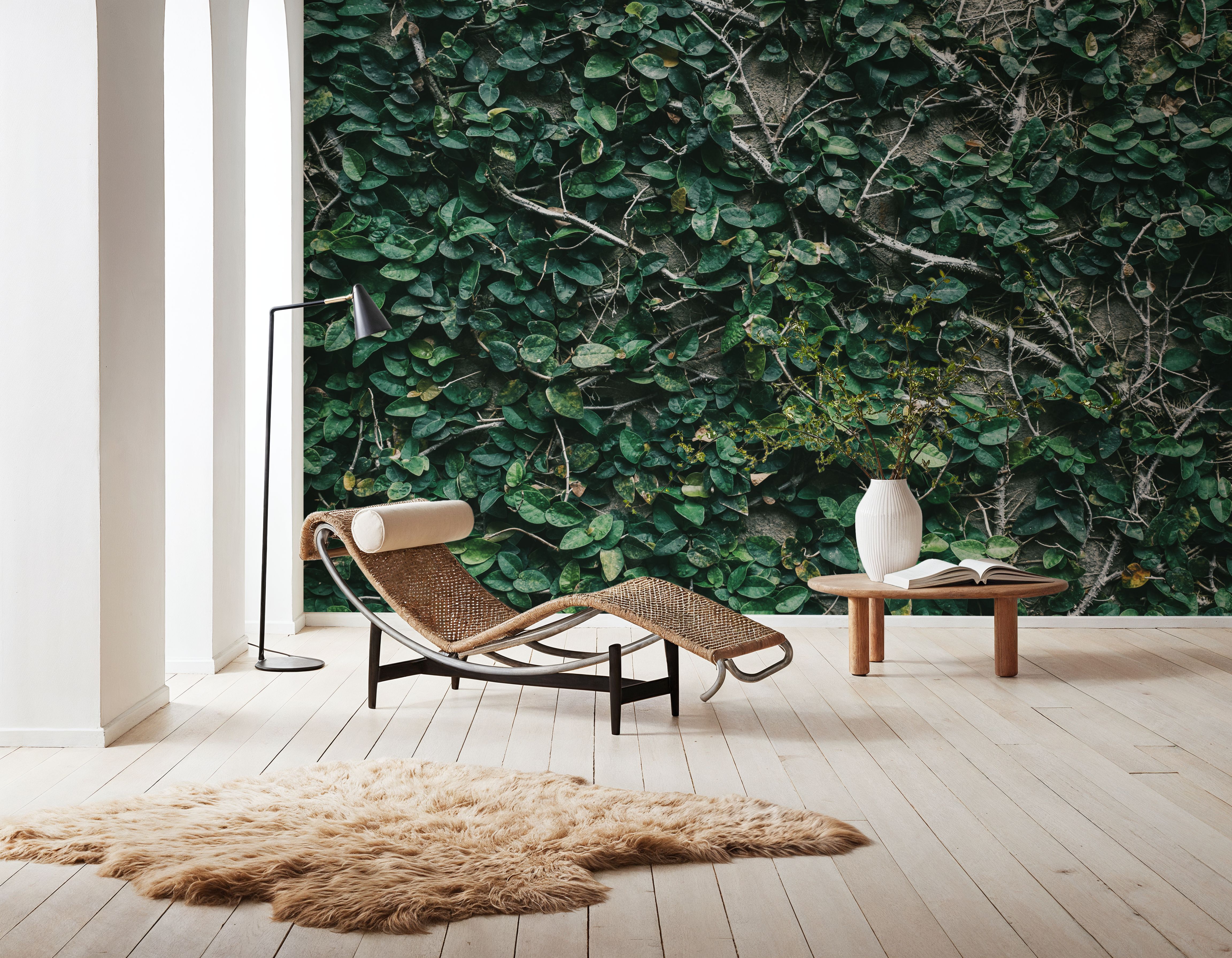 Ivy Leaves