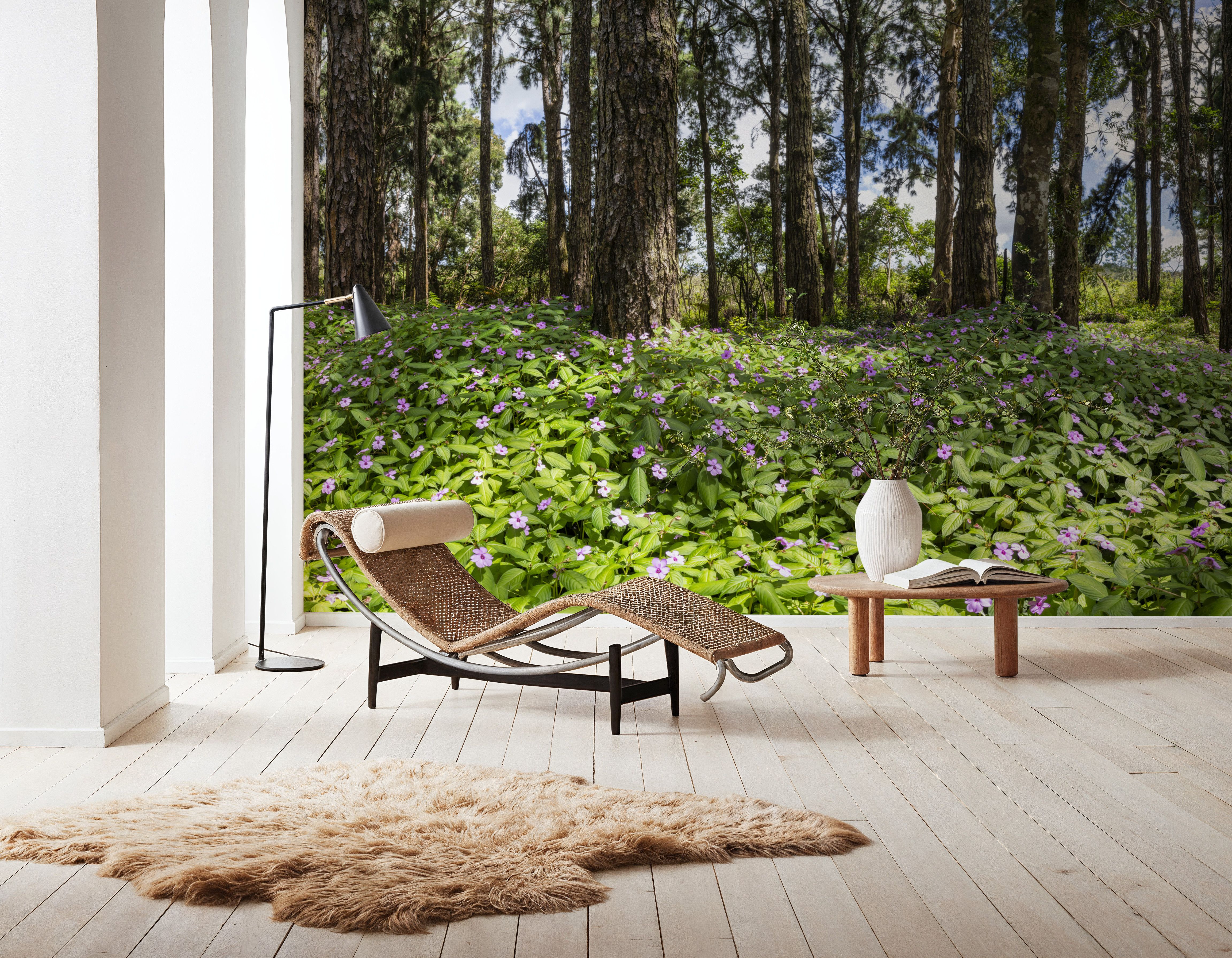 Eucalyptus Woods