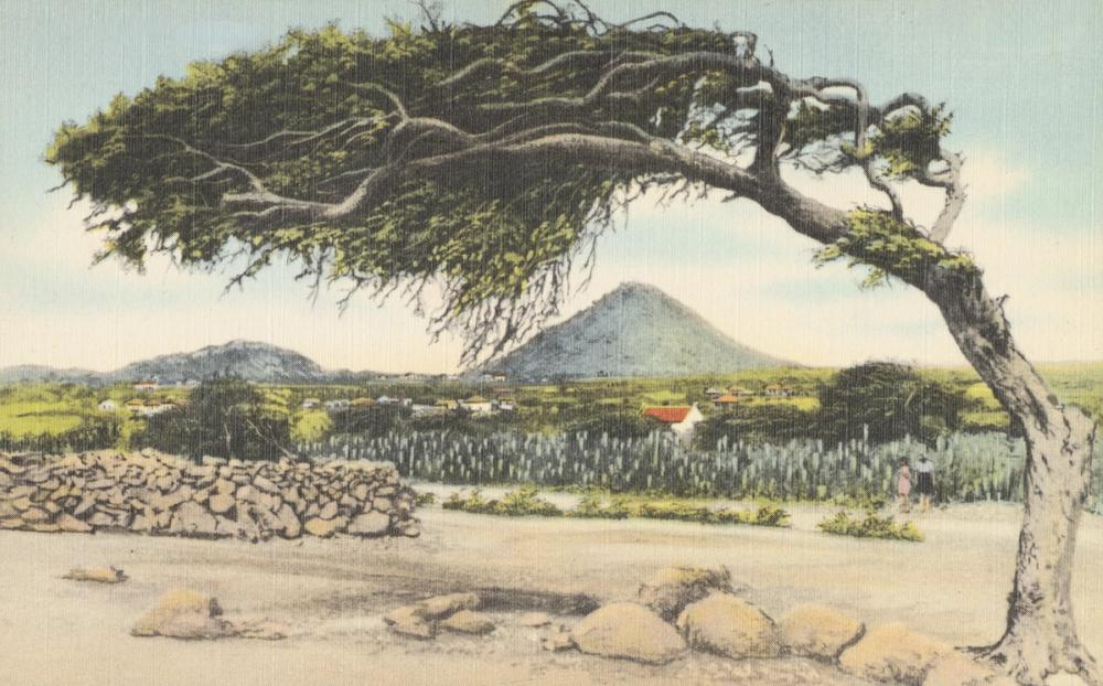 Santa Cruz - Screenprint Postcard