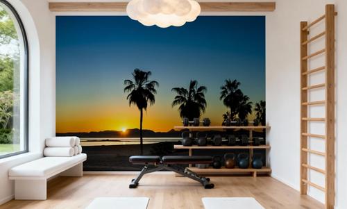 Palm Baja Dawn