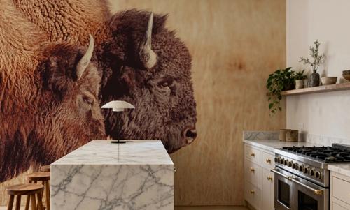 Bison Pair