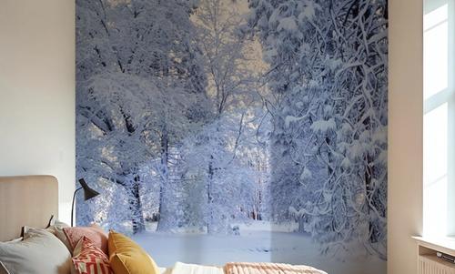 Snow-Laden Forest
