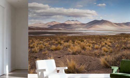 Atacama Desert