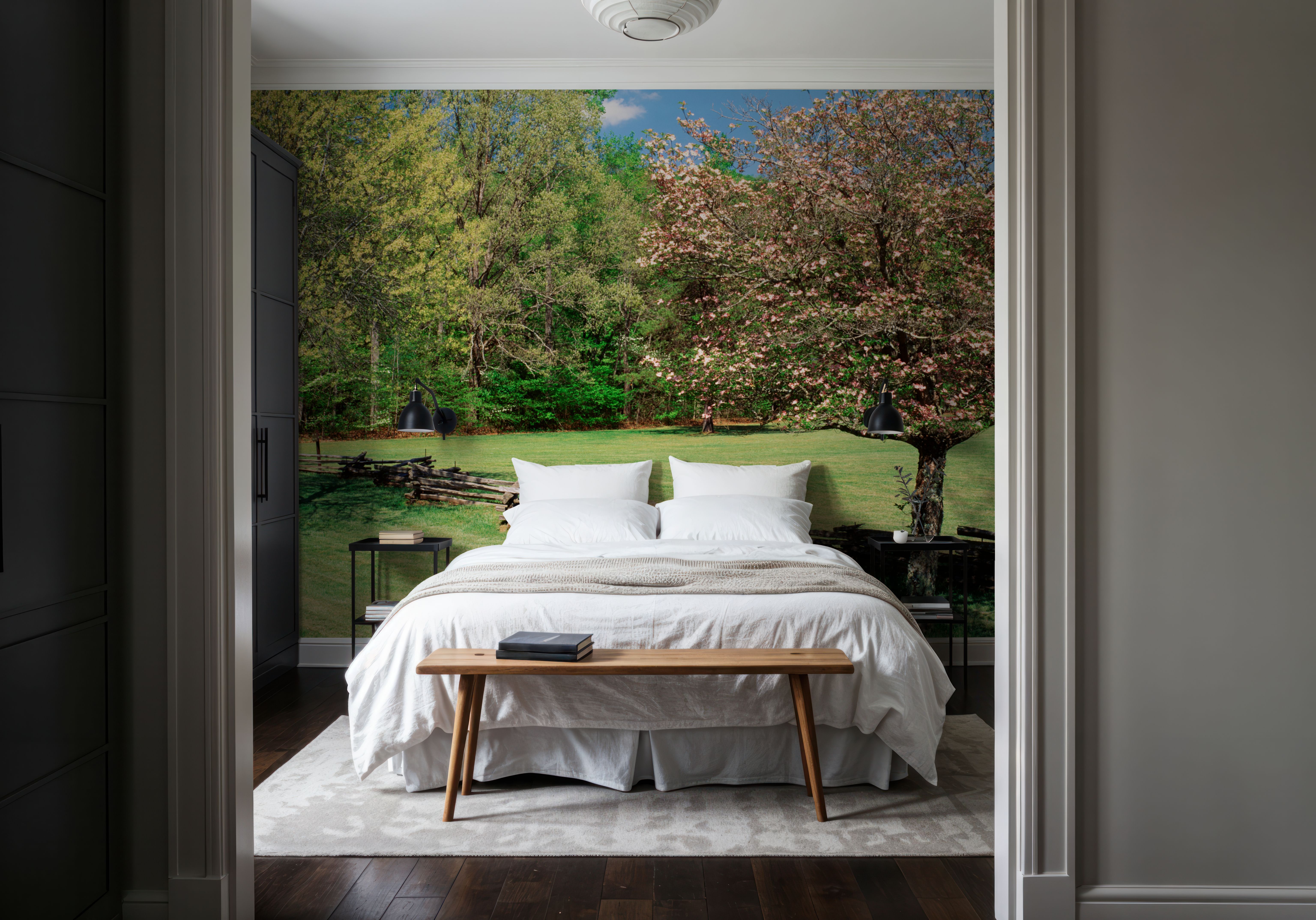 Pisgah National Forest