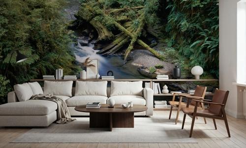 Willaby Creek, Washington State