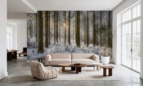 Winter Day