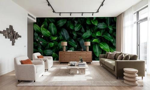 Chlorophyll