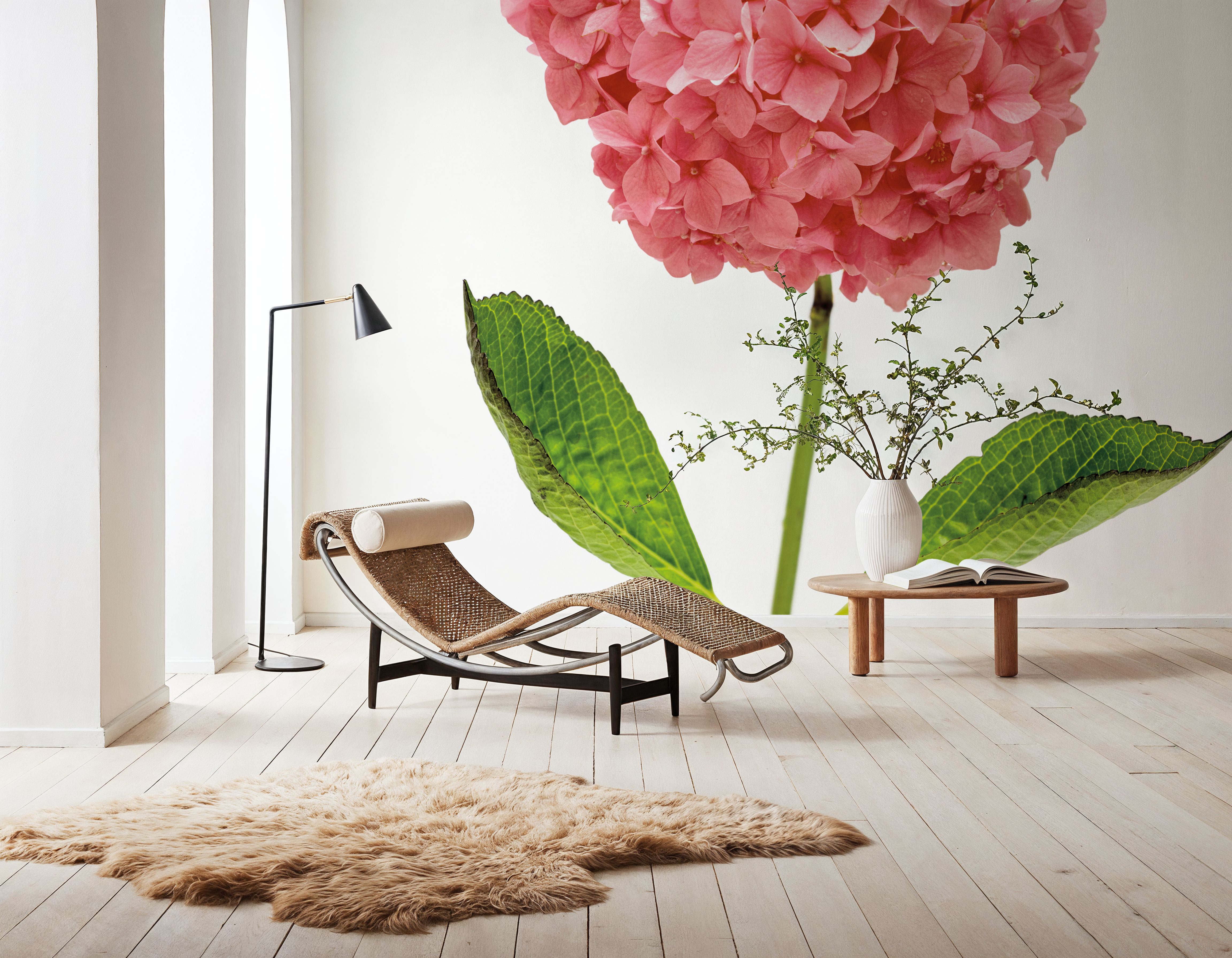 Providence Hydrangea I