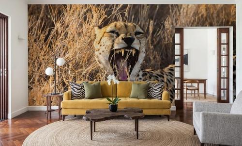 Big Yawn II