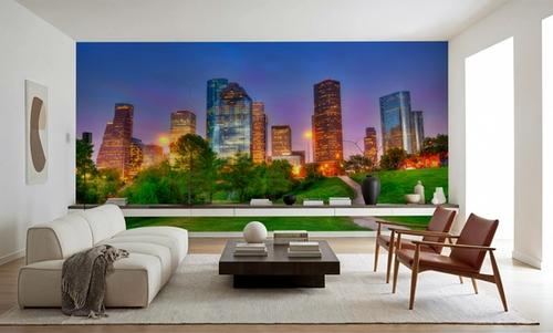 Lush Houston Sunset