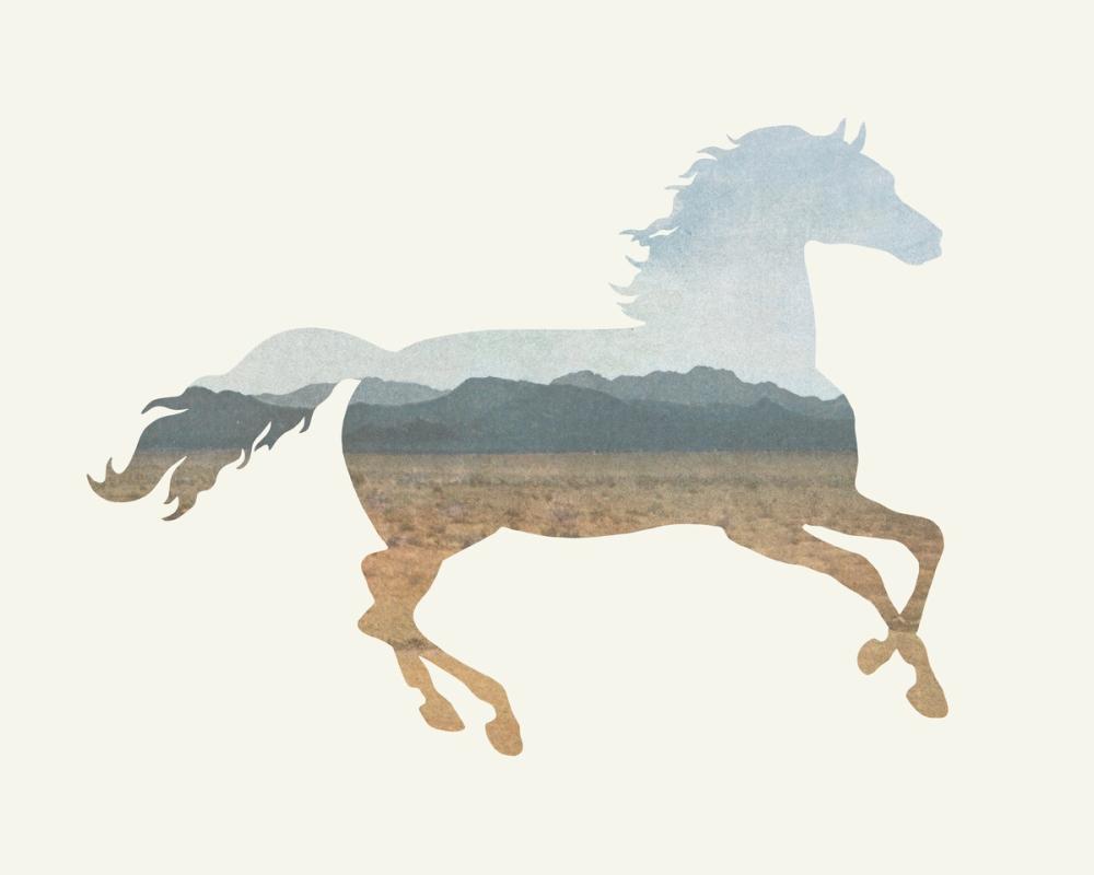 American Southwest Horse