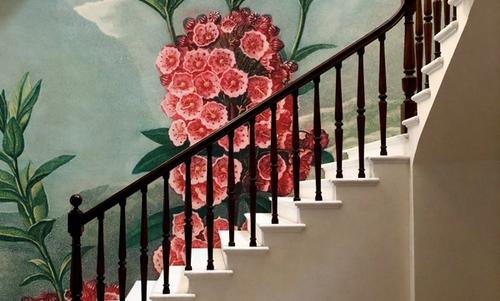 The Narrow–Leaved Kalmia