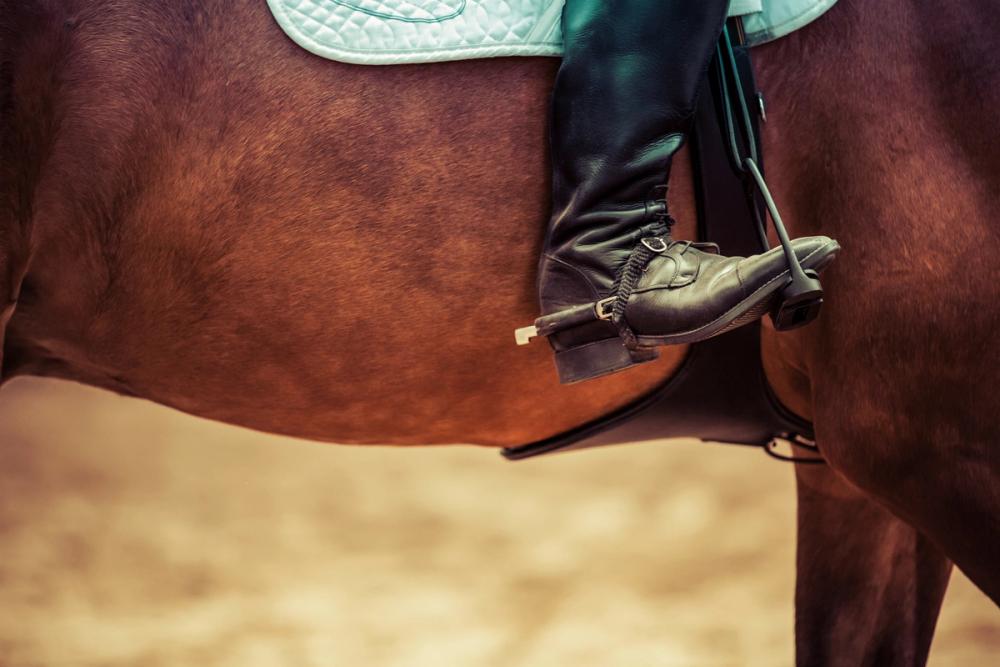 Western Rider