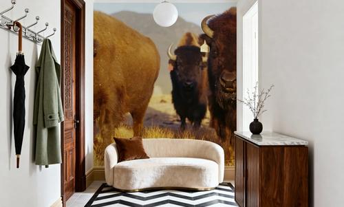 Prairie Bison