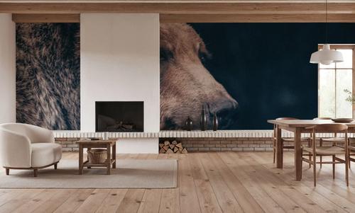 Grizzly Bear Portrait