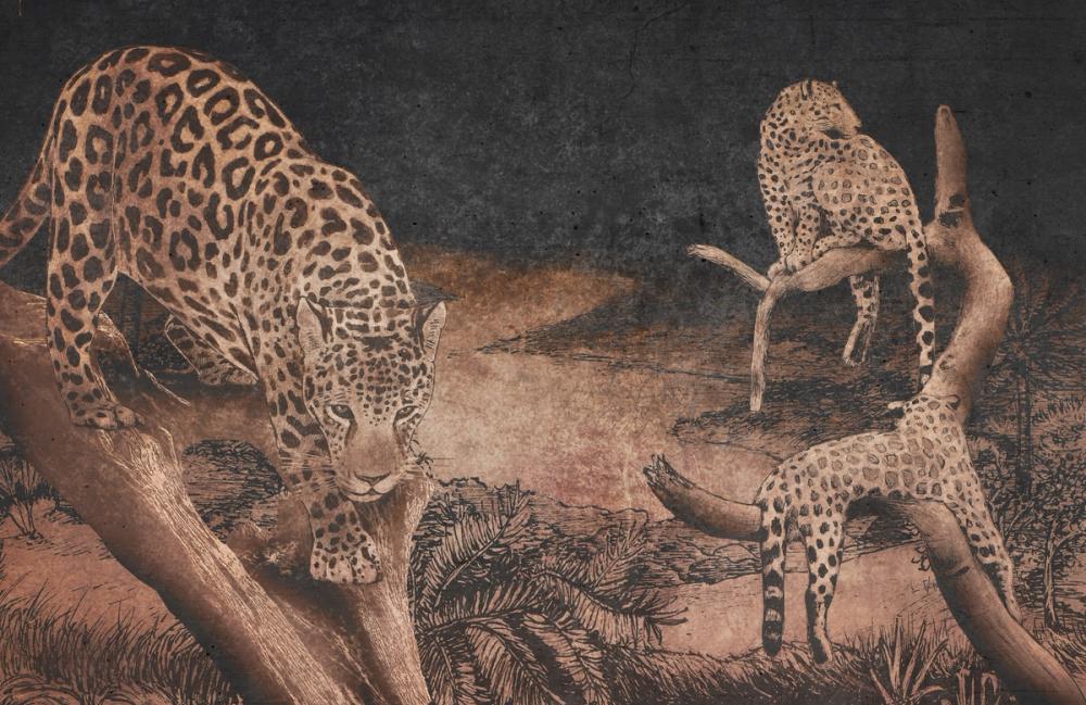 Brazilian Leopards