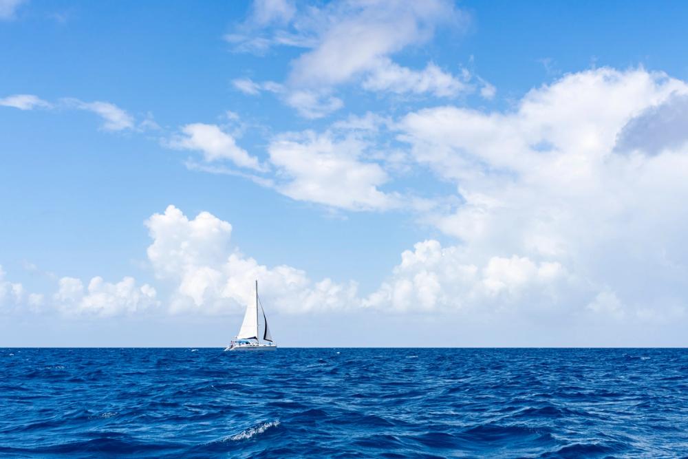 Where the Wind Blows