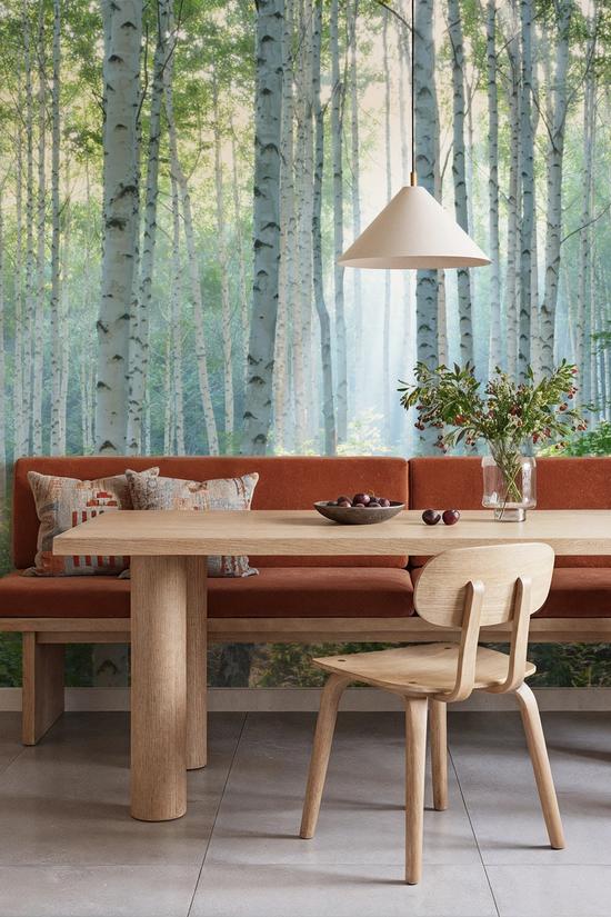 Peaceful Birch Woods