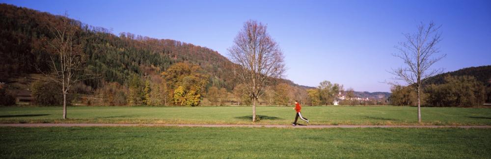 Autumn Trail Horizon