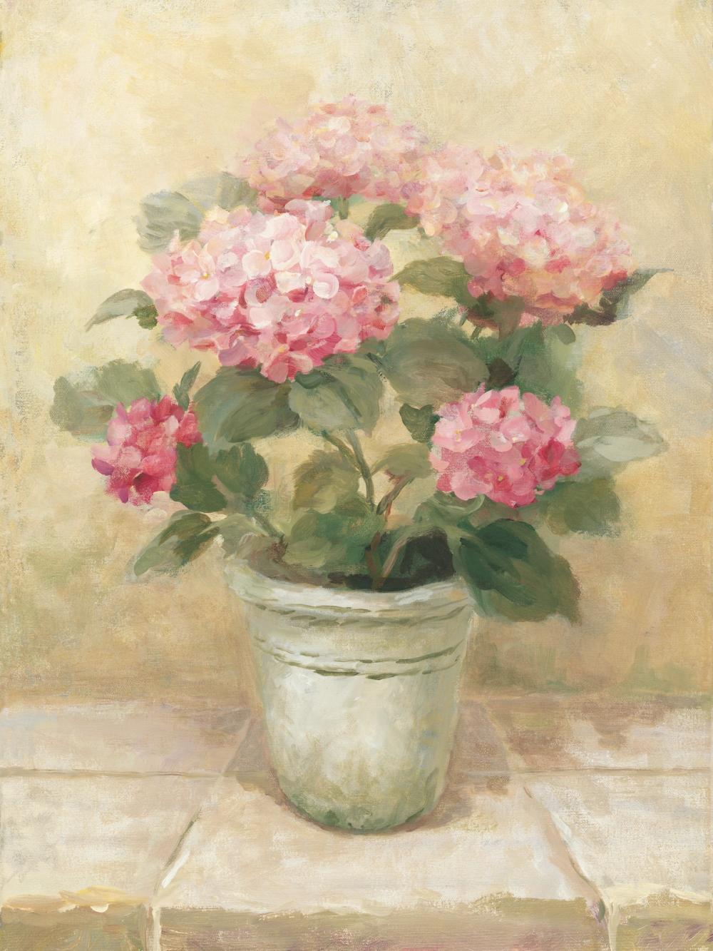 Pot of Pink Hydrangea