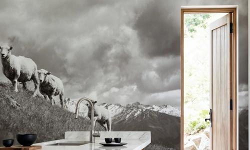 Wanaka Sheep II