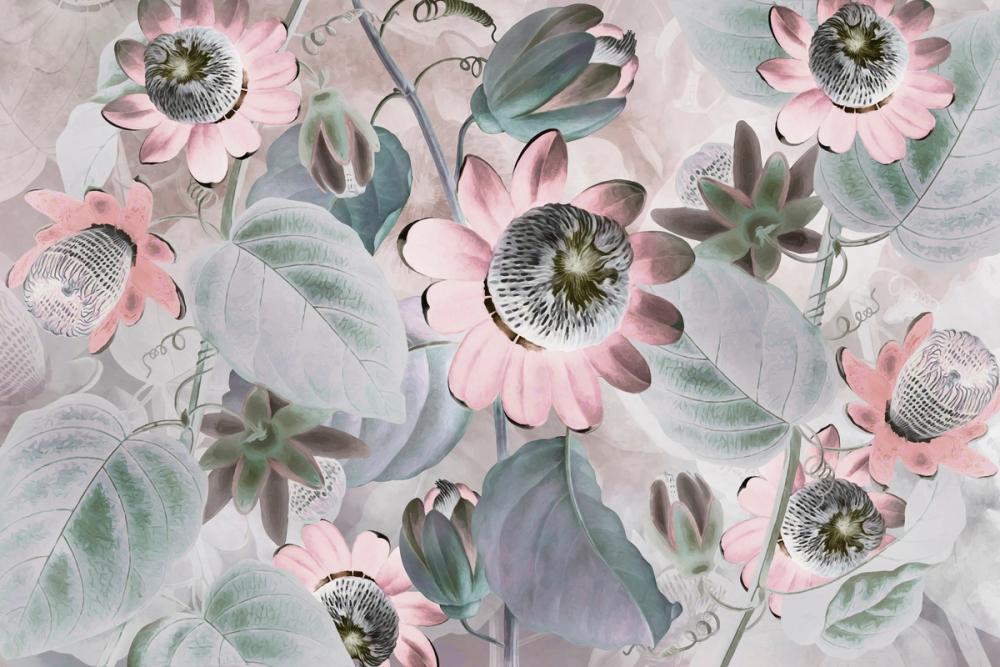 Passifloras Emerging Bright Red