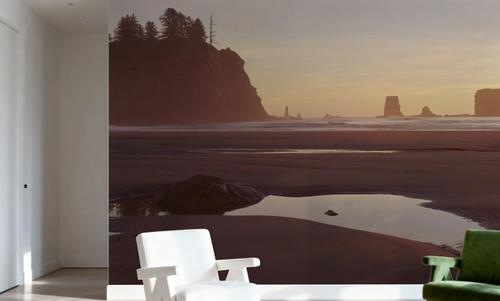 Tidal Pools