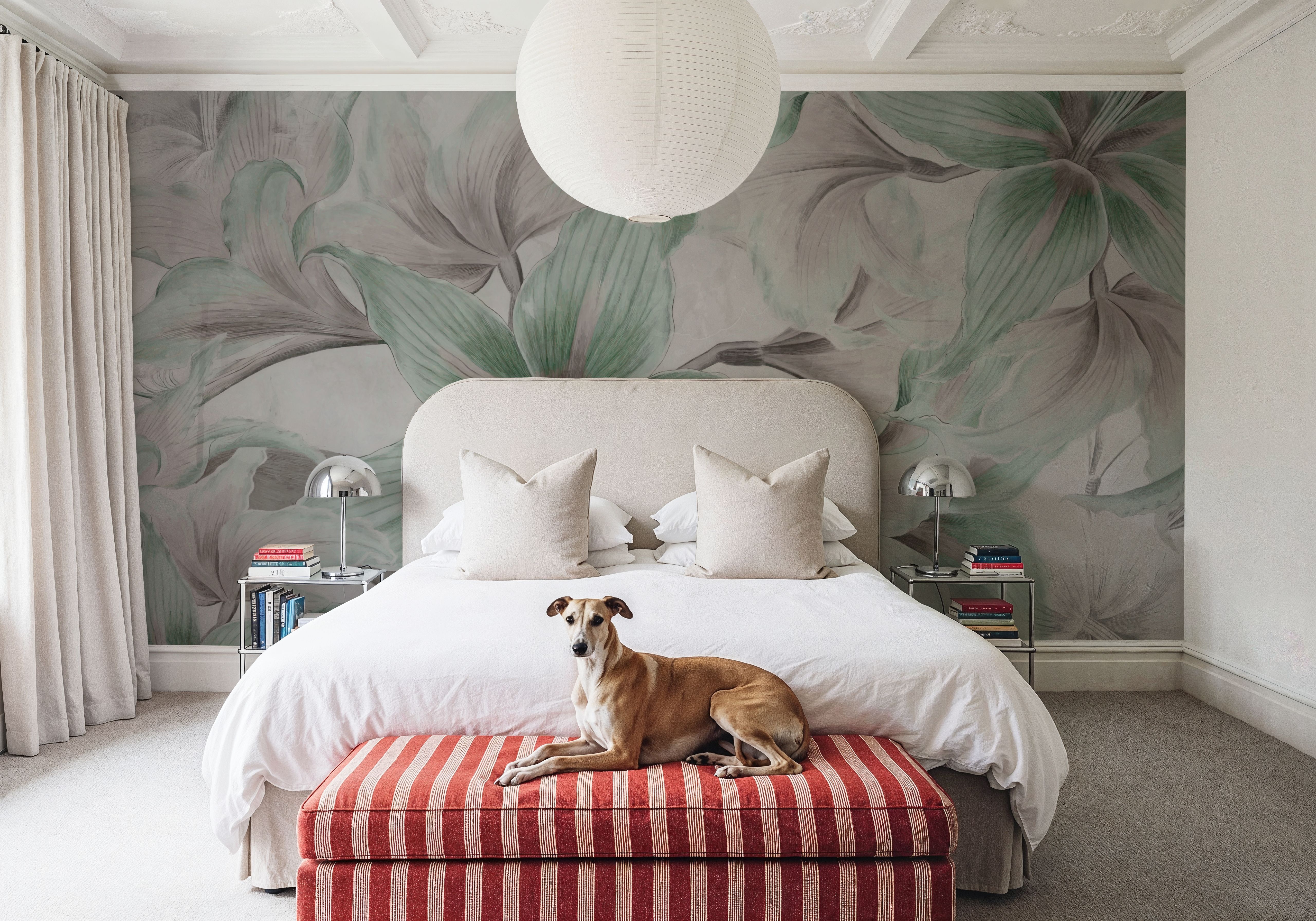  Amarantus dream Dark Green