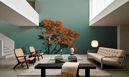 Red Pine Tree