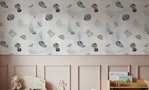 Sea Shells