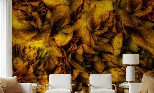 Ruffles and Frills