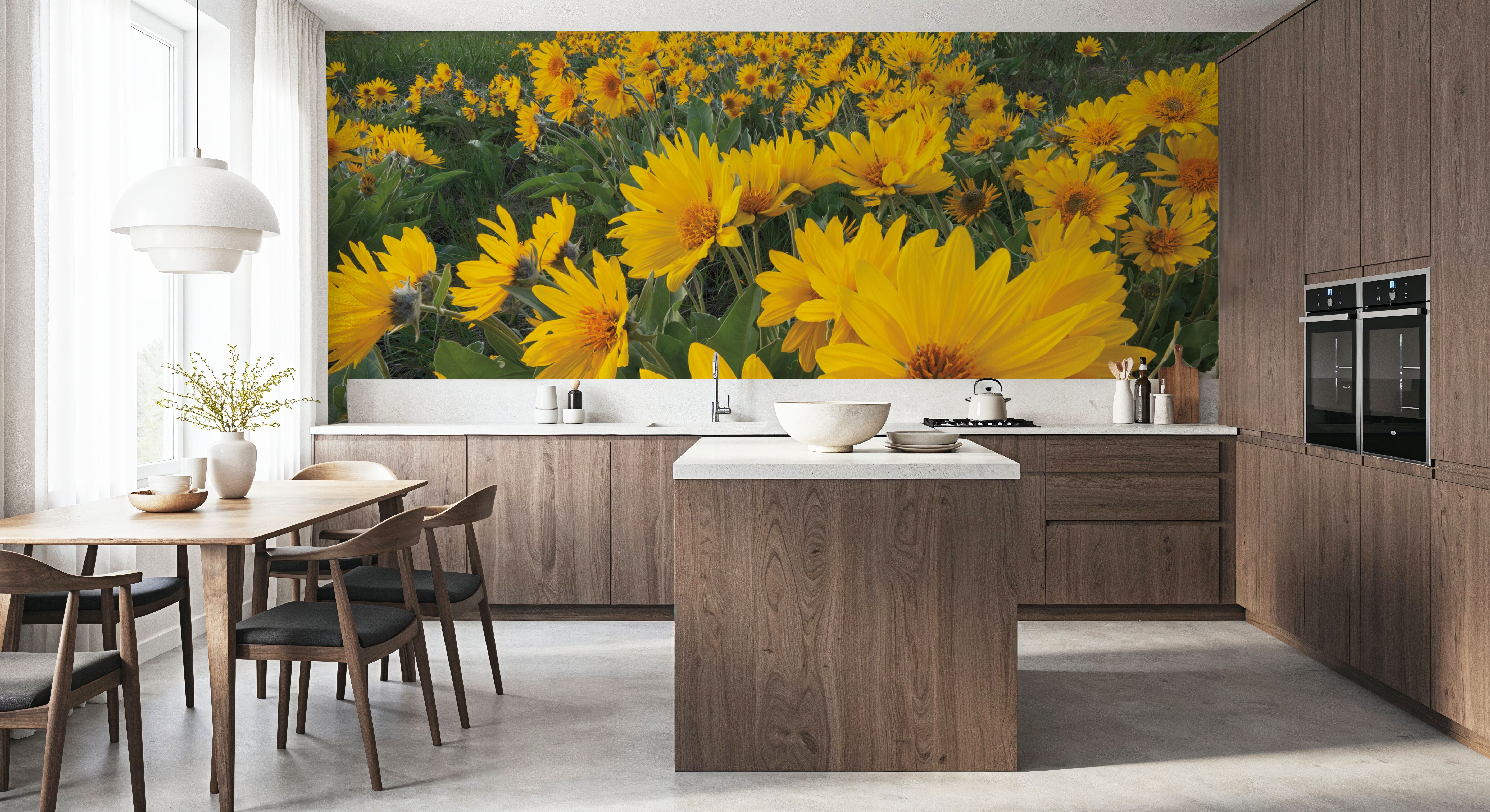 Methow Valley Wildflowers II