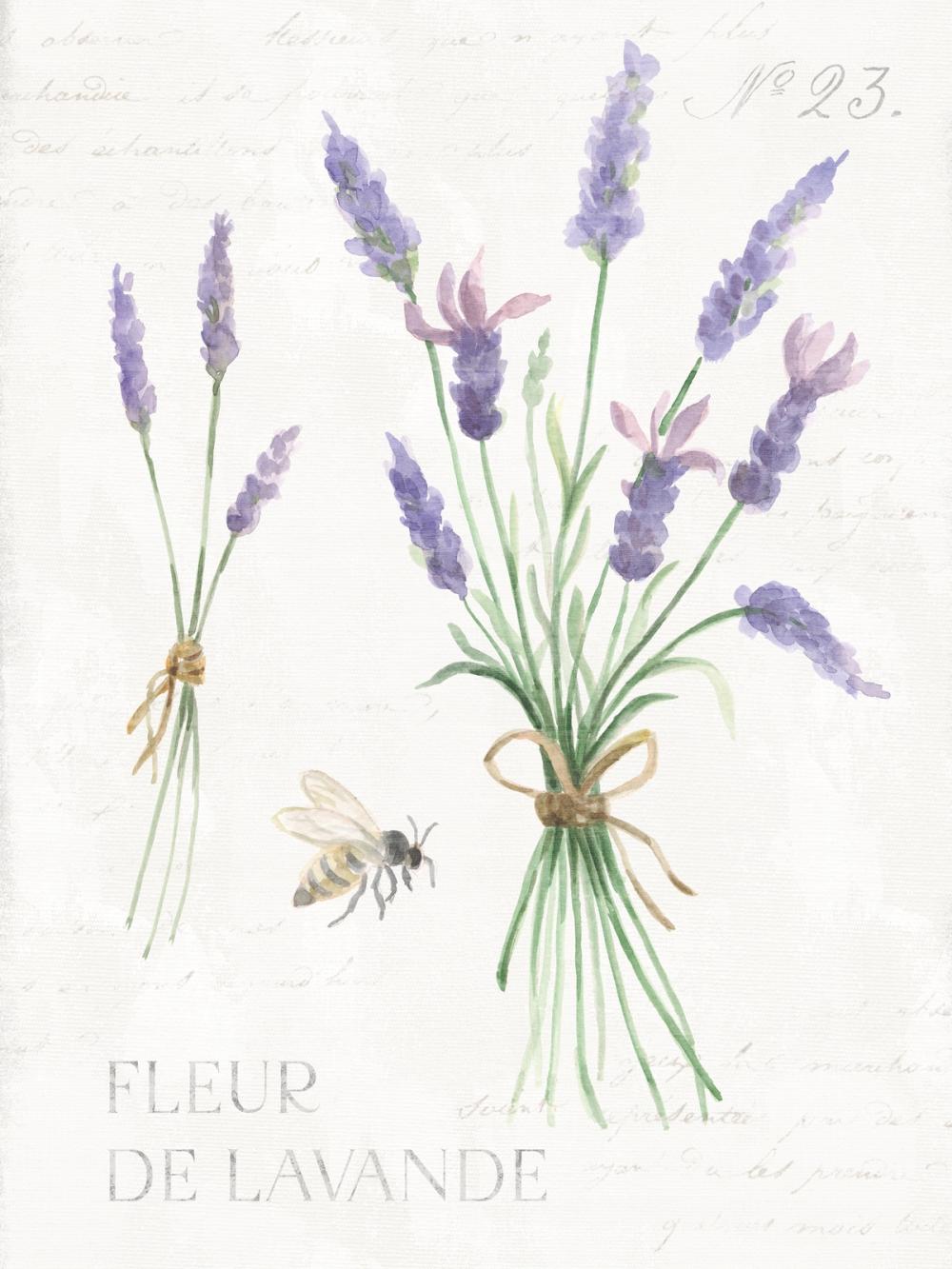 Lavender Fields VIII