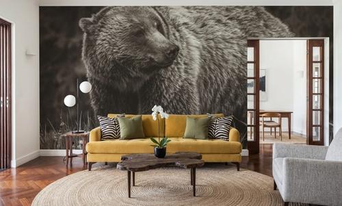 British Columbia Grizzly in a Field BW