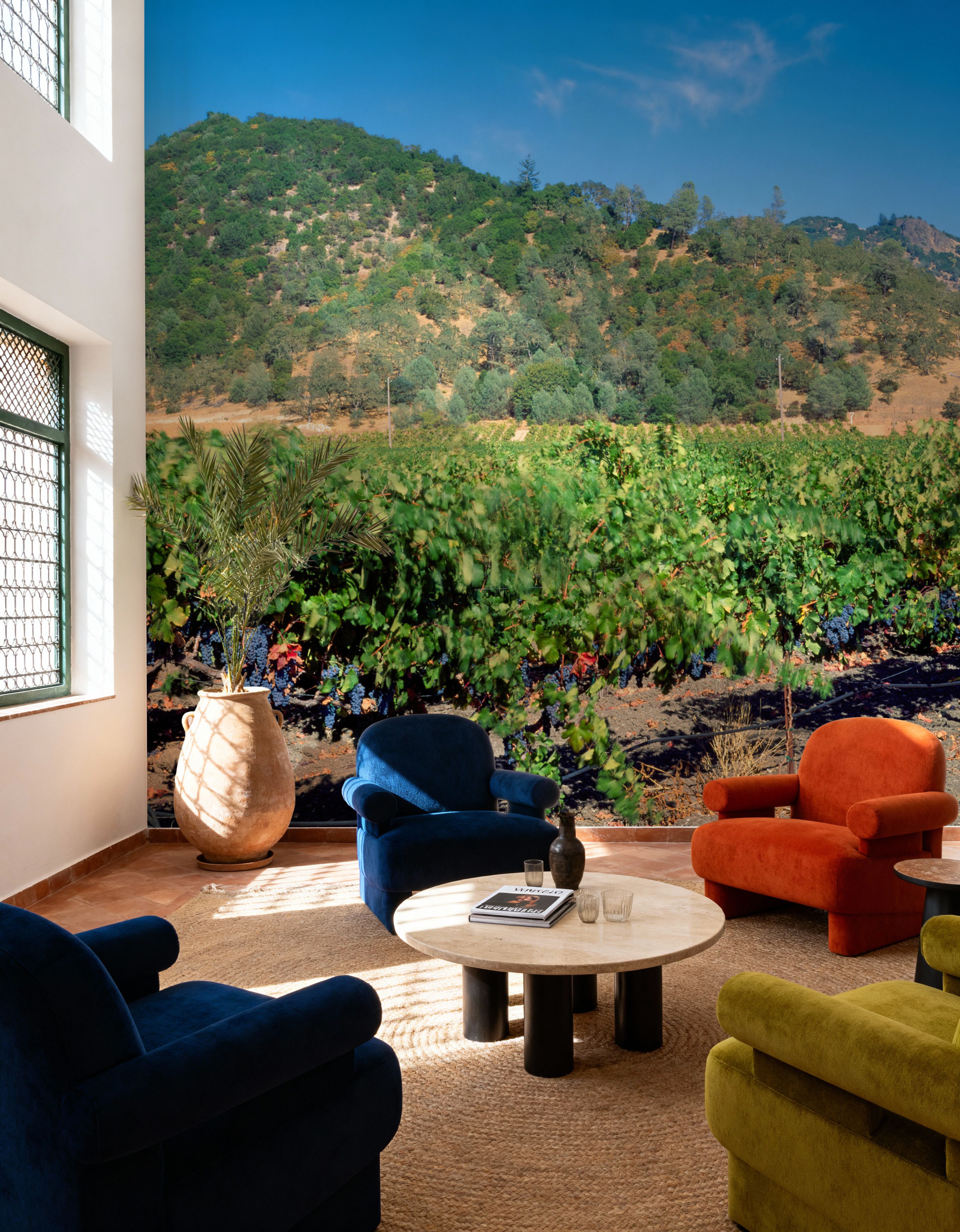 Vineyard Splendor