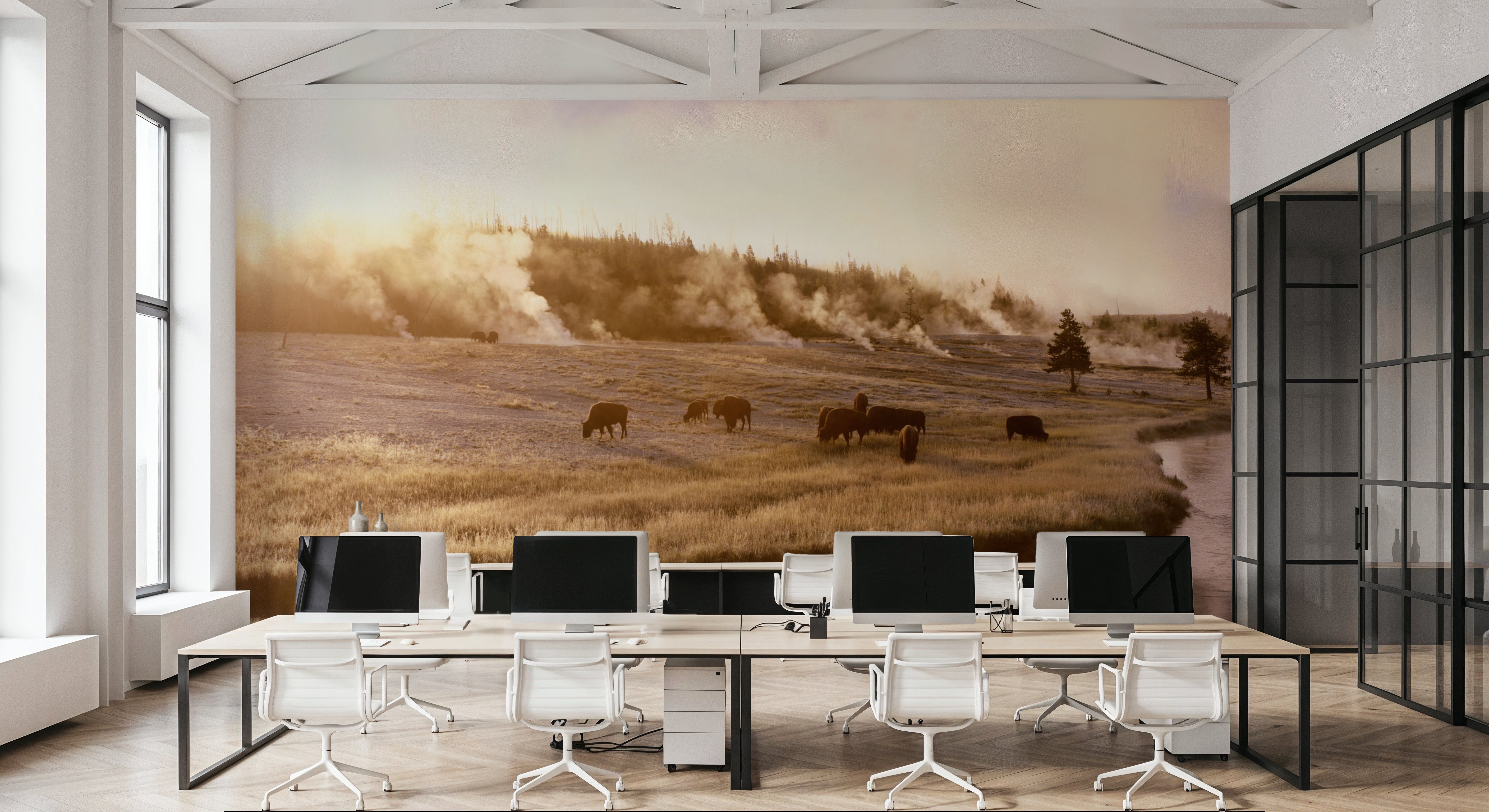 Bison Firehole River