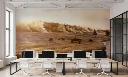 Bison Firehole River
