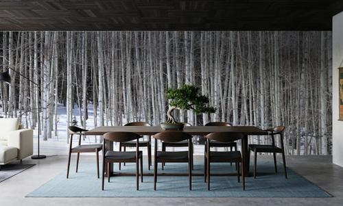 Winter Birch Stillness