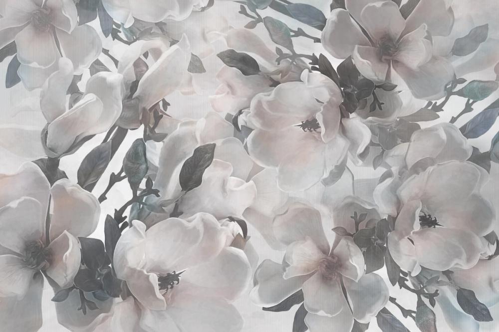 Dreaming of Magnolias Harmony