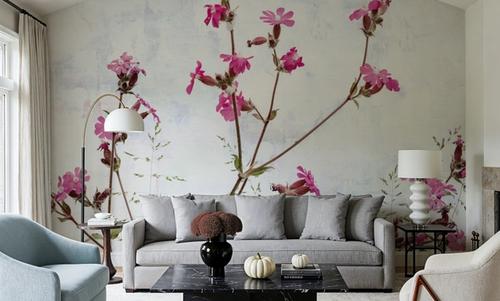Pink Campion