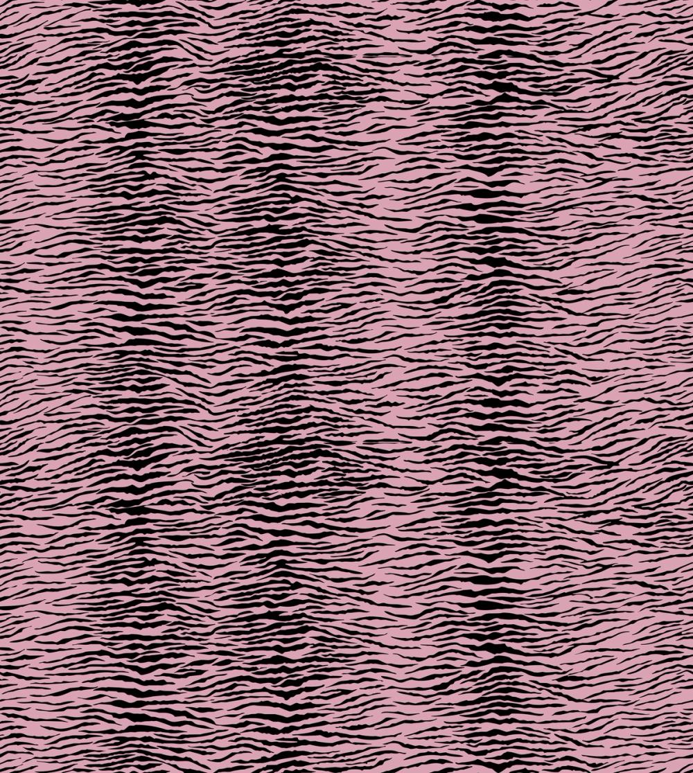 Panthera Tiger, Pink