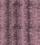 Panthera Tiger, Pink