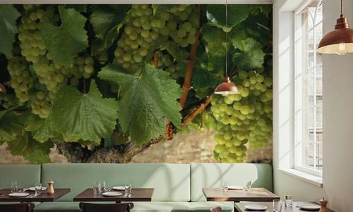 Napa Chardonnay Grapes