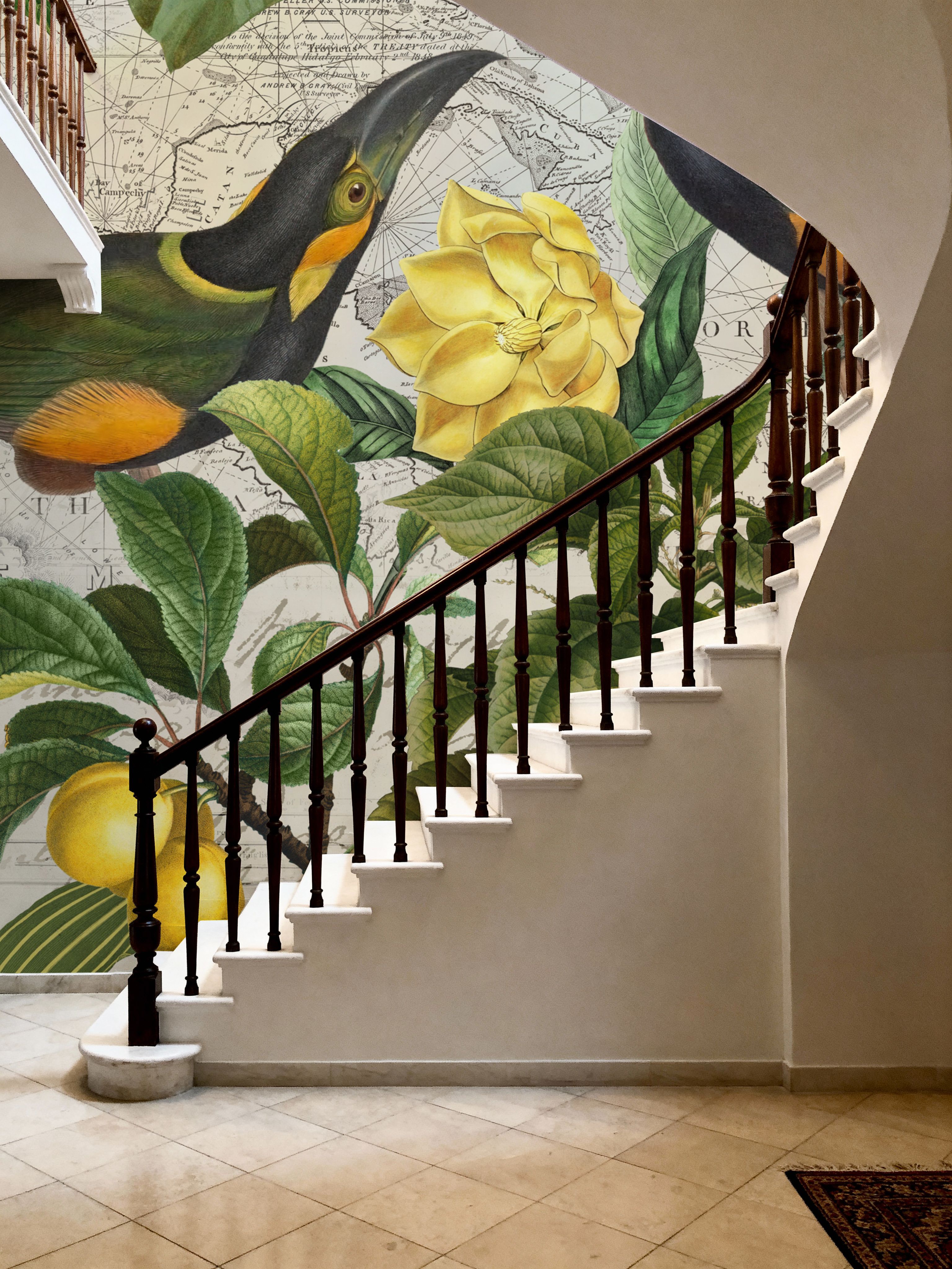 Parrots Nostalgic Journey II