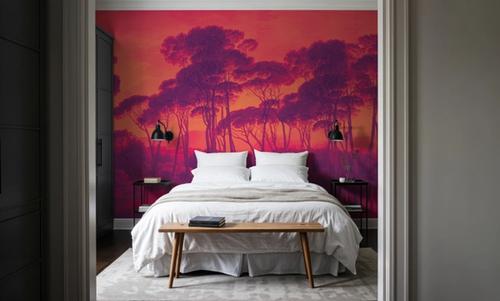 Mediterranean Pine Landscape, Sunset