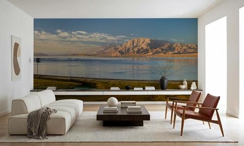 Baja Panorama