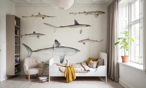 Sharks of the Pacific Ocean