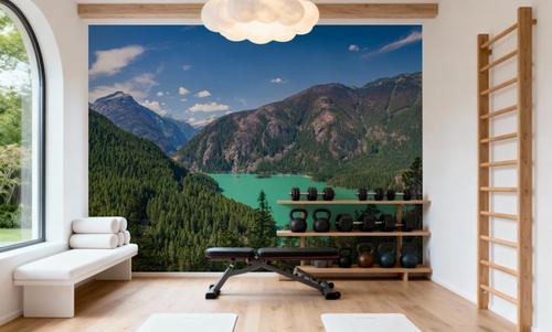 Diablo Lake III