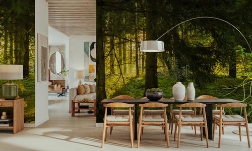 Nordic Woodland